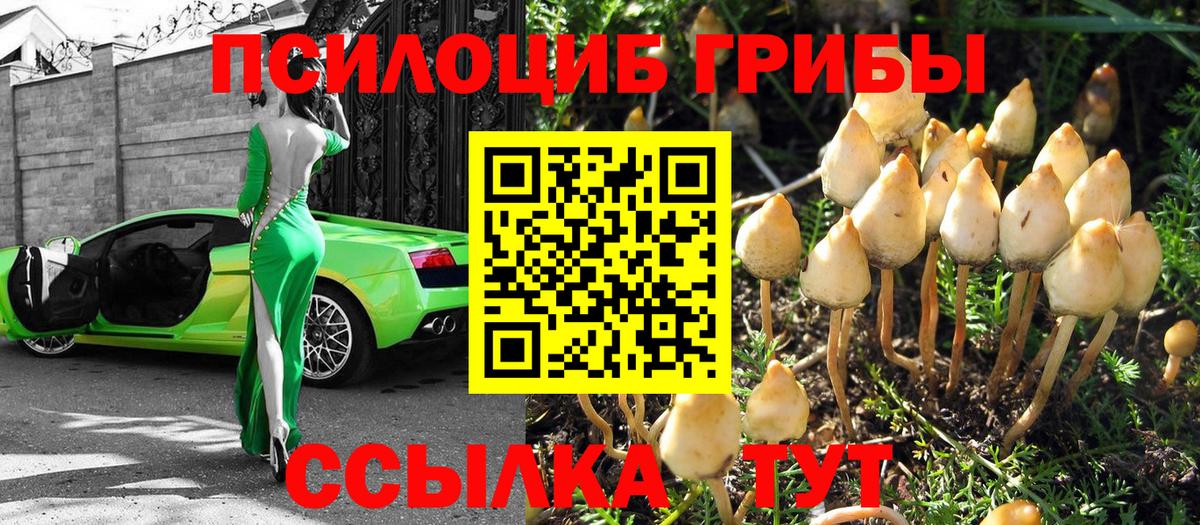 Псилоцибиновые грибы мухоморы Искитим