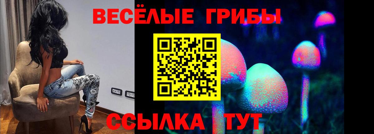 Искитим  купить наркоту  Вход с VPN  Псилоцибиновые грибы Cubensis 